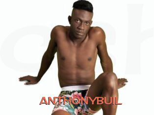 ANTHONYBUIL