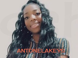 ANTONELAKEYS