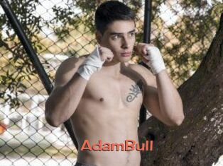 AdamBull