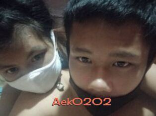 Aek0202