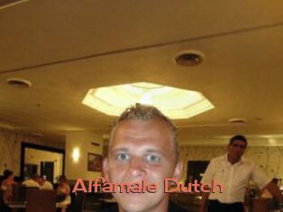 Alfamale_Dutch