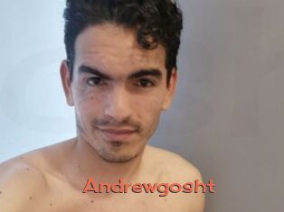 Andrewgosht