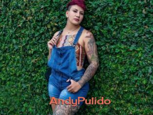 AndyPulido
