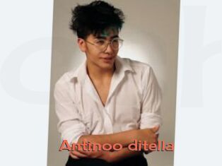 Antinoo_ditella