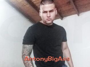 AntonyBigAss