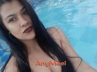 AnyMeel