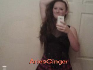 AriesGinger