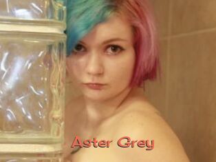 Aster_Grey