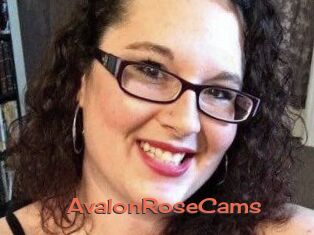 AvalonRoseCams
