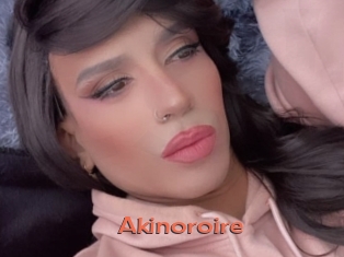 Akinoroire
