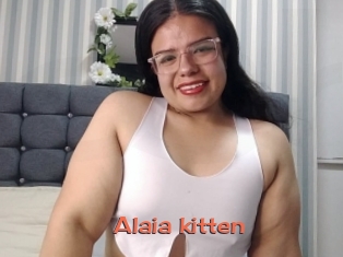 Alaia_kitten