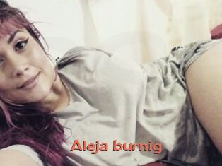 Aleja_burnig