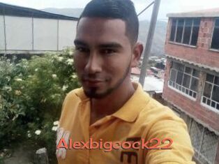 Alexbigcock22