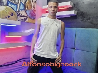Alfonsobigcoock