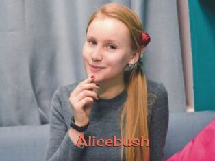 Alicebush