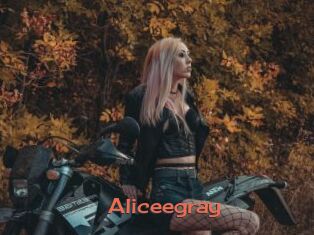 Aliceegray