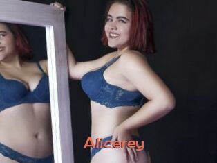 Alicerey