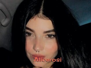 Alicerosi