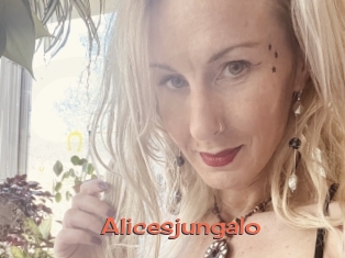 Alicesjungalo