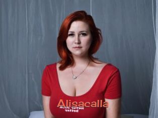 Alisacalla