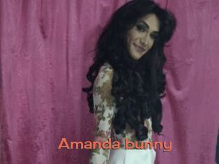 Amanda_bunny