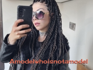 Amodelwhoisnotamodel