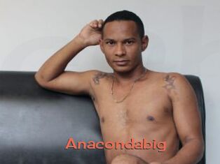 Anacondabig