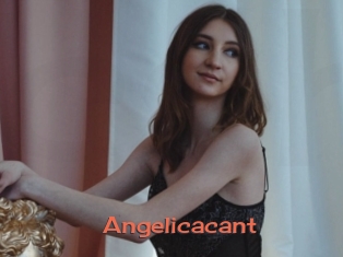 Angelicacant