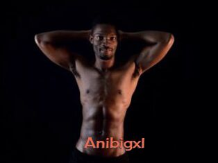 Anibigxl