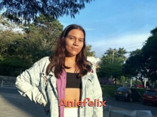 Aniefelix