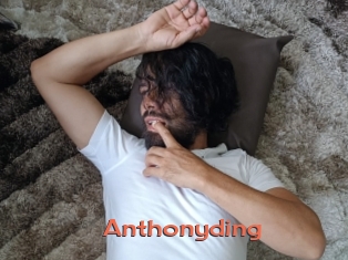 Anthonyding