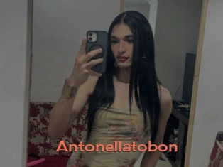 Antonellatobon