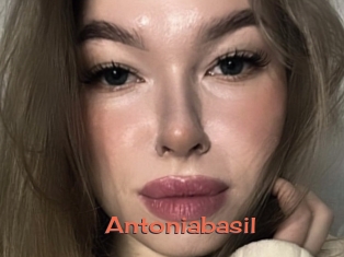Antoniabasil