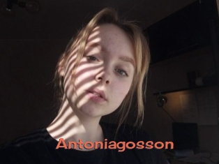 Antoniagosson