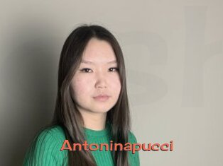 Antoninapucci