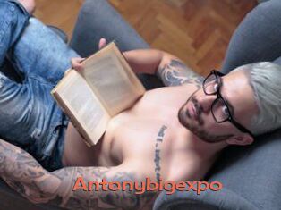 Antonybigexpo