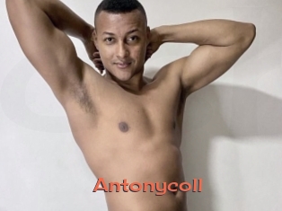 antonycoll Cams Hot