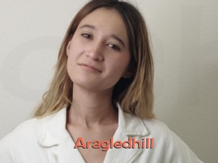 Aragledhill