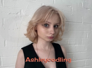 Ashleycodling