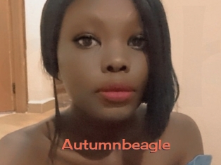 Autumnbeagle