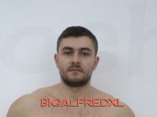 BIGALFREDXL
