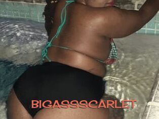 BIGASSSCARLET