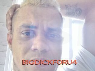 BIGDICKFORU4