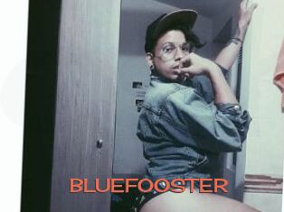 BLUEFOOSTER