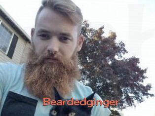 Beardedginger