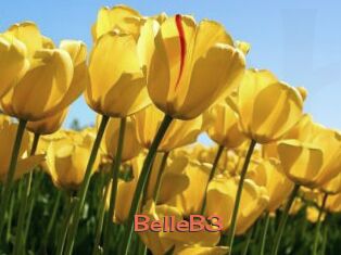 BelleB3