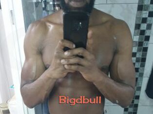 Bigdbull