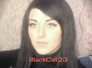 BlackCat23