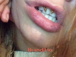 BrandiHo