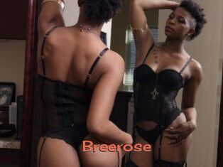 Breerose